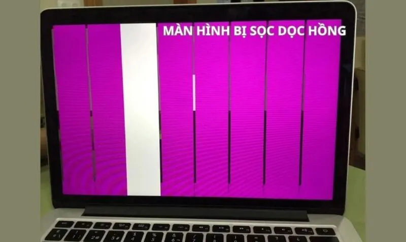 Loi man hinh may tinh mau hong 6 1