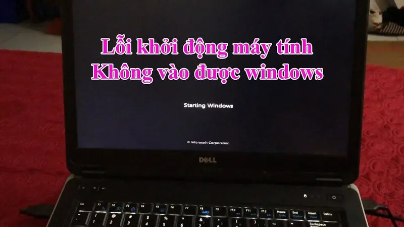 May tinh khong vao duoc win 5