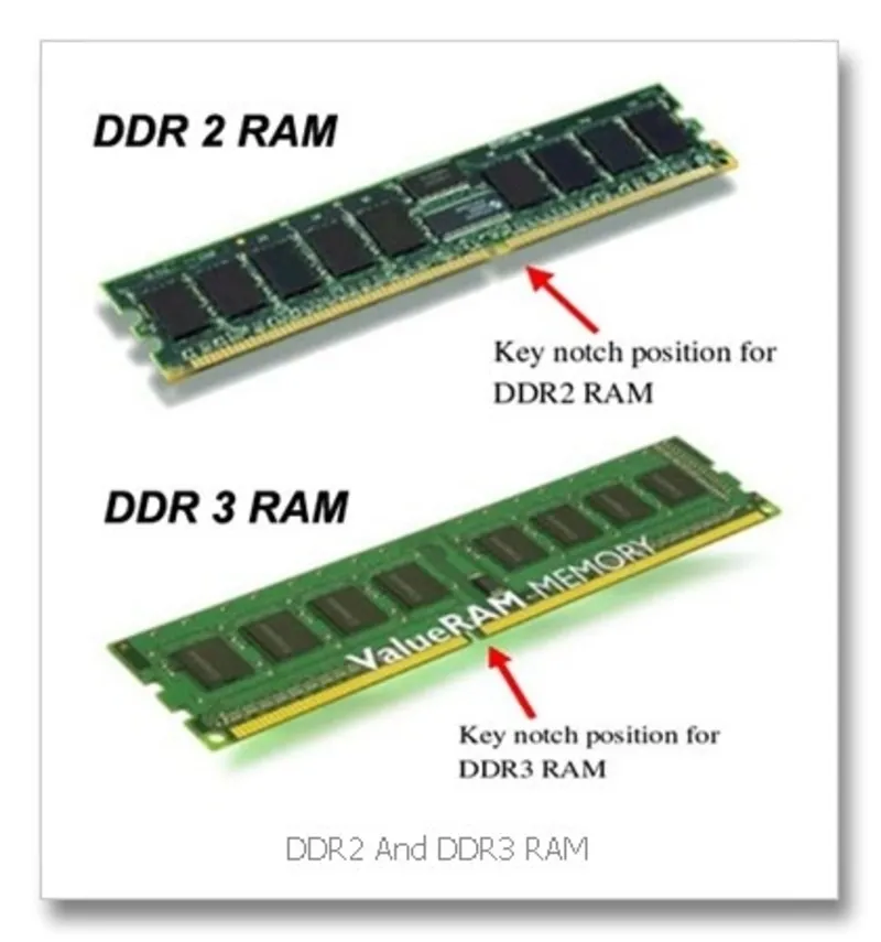 Lap 2 Ram khac Bus co chay duoc khong 1