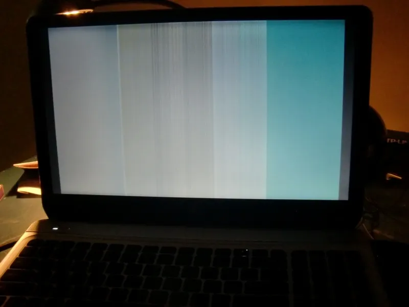Man hinh laptop bi nhieu 28
