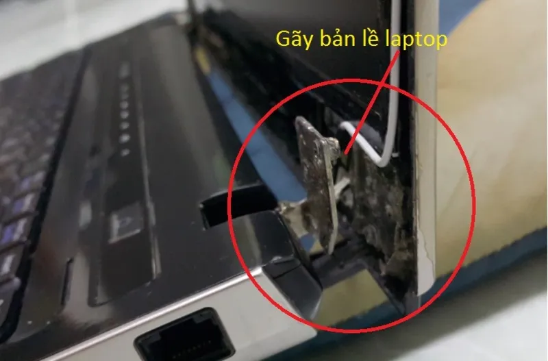 Ban le laptop bi gay 4 1