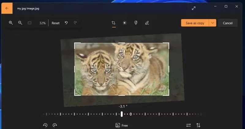 Cat anh trong paint 1