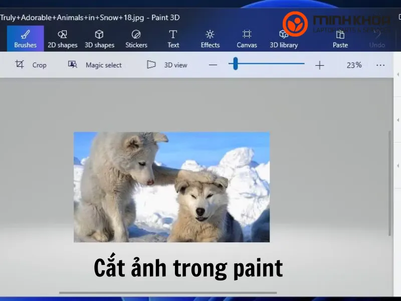 Cắt ảnh trong paint