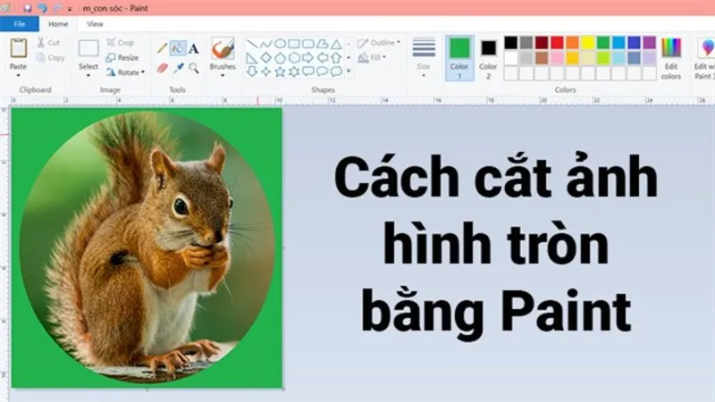 Cat anh trong paint 3
