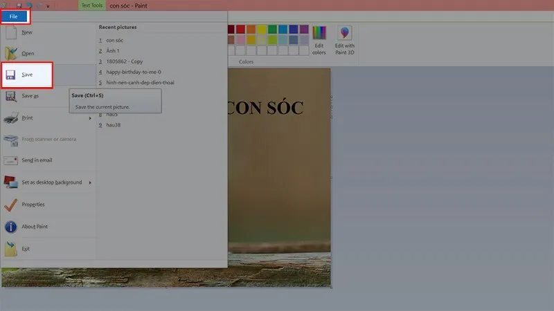 Cat anh trong paint 8