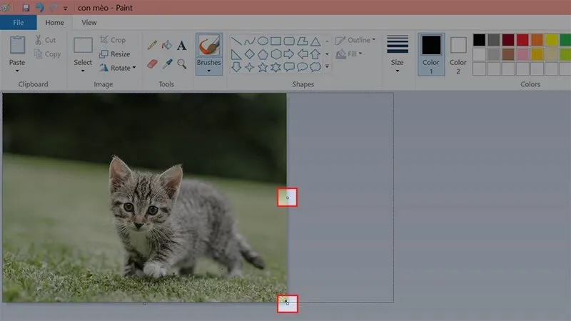 Cat anh trong paint 9