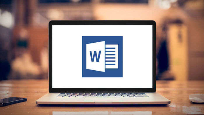Các chức năng chính của Microsoft Word là gì?