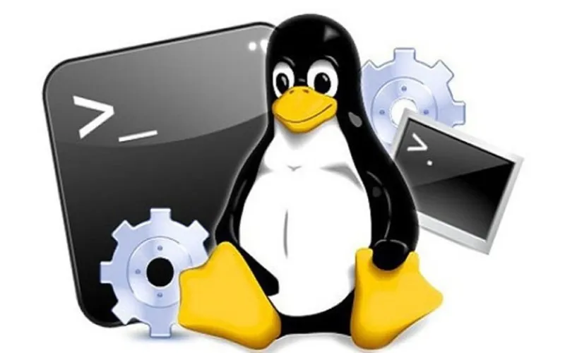 Giải đáp: Hệ điều hành Linux là gì? 6 thông tin hay về Linux 7 He dieu hanh Linux la gi 12