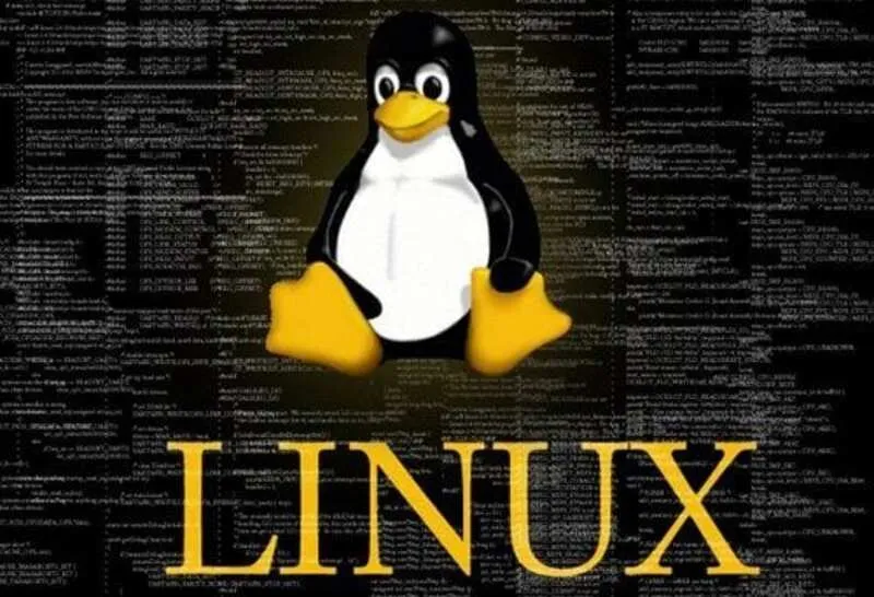 Giải đáp: Hệ điều hành Linux là gì? 6 thông tin hay về Linux 3 He dieu hanh Linux la gi 4