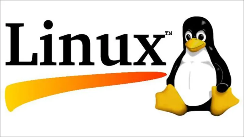 Giải đáp: Hệ điều hành Linux là gì? 6 thông tin hay về Linux 4 He dieu hanh Linux la gi 7