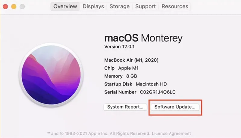 Man hinh Macbook bi nhieu 29