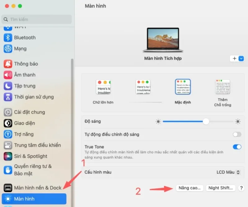 Man hinh Macbook bi nhieu 3