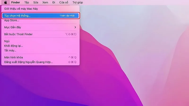 Man hinh Macbook bi nhieu 6
