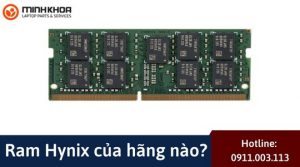 Ram Hynix cua hang nao 13
