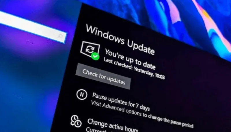 Update Win 10 mat bao lau 12