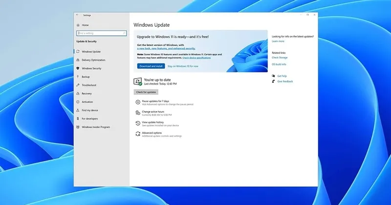 Update Win 10 mat bao lau 17