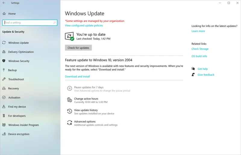 Update Win 10 mat bao lau 19