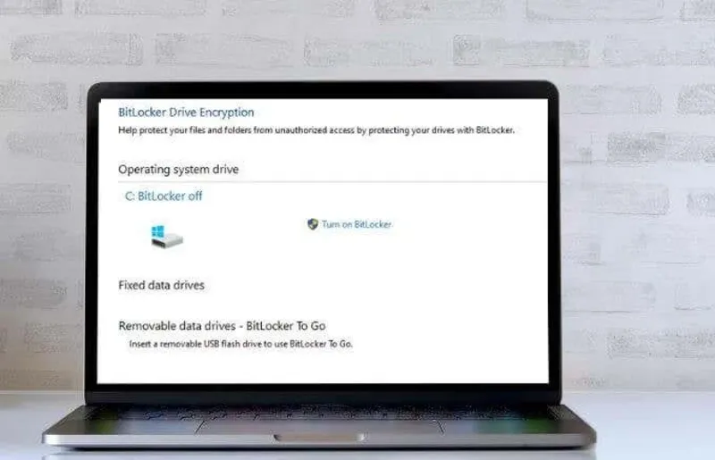 BitLocker là gì? Cách dùng Bitlocker để mã hóa dữ liệu 15 BitLocker la gi 8