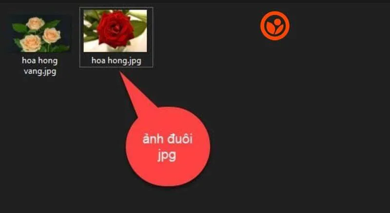 Cách đổi đuôi file (19) Cách đổi đuôi file (19)