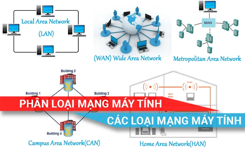 Mang may tinh duoc chia thanh may loai 14