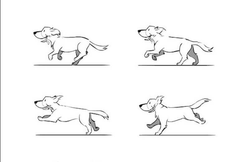 Ví dụ về việc vẽ nhiều bức tranh với chủ thể là con chó đang chạy