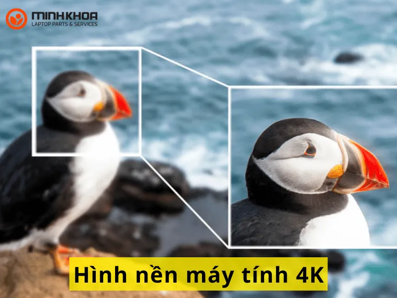 Hình nền máy tính 4K