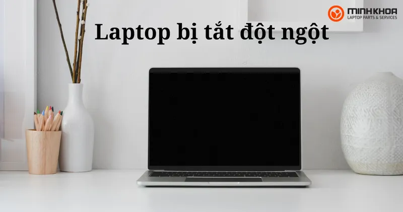 Cap cuu laptop 8