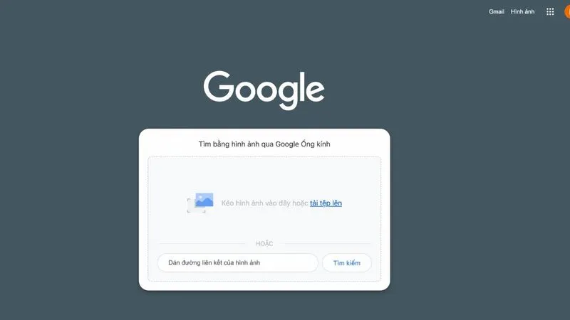 Tìm hiểu chi tiết về Google lens máy tính 13 Google Lens may tinh 5