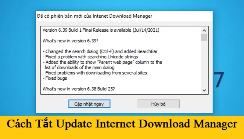Tát update IDM tren windows 13