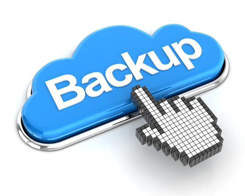 Data backup 29
