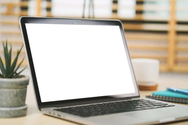 Man hinh laptop Dell bi trang xoa 1