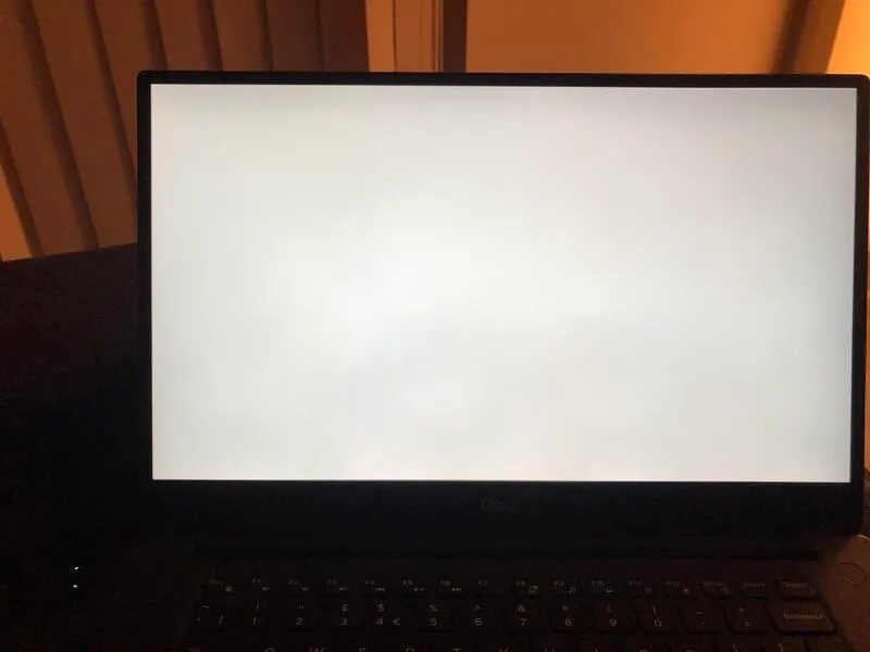 Man hinh laptop Dell bi trang xoa 19