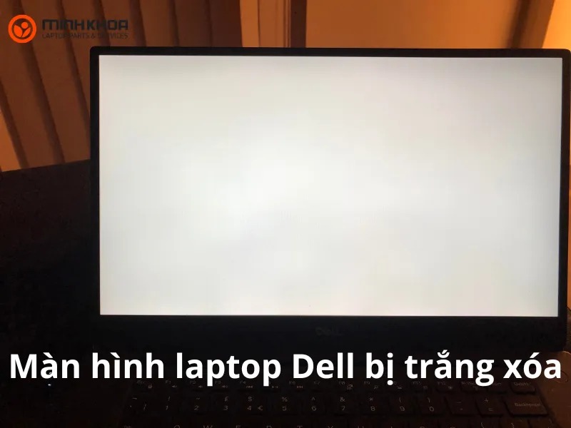 Màn hình laptop Dell bị trắng xóa 