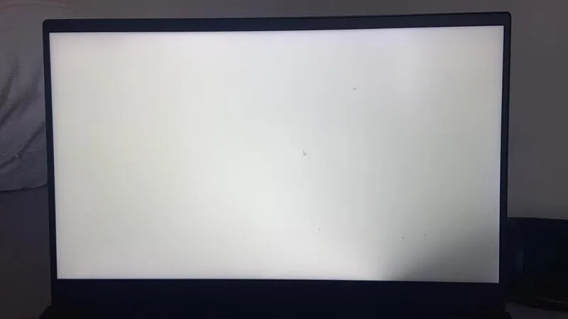 Man hinh laptop Dell bi trang xoa 5