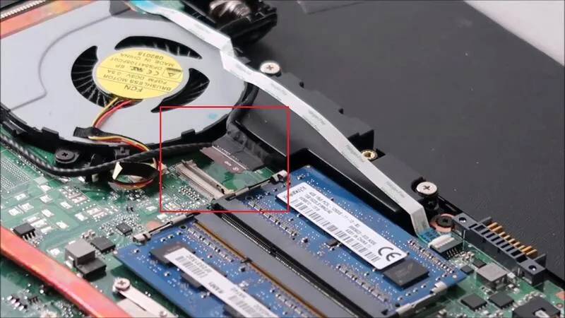 Man hinh laptop bi den 16