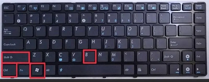 Man hinh laptop bi den 9