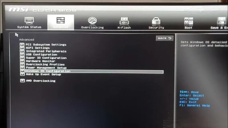 Boot main MSI 24