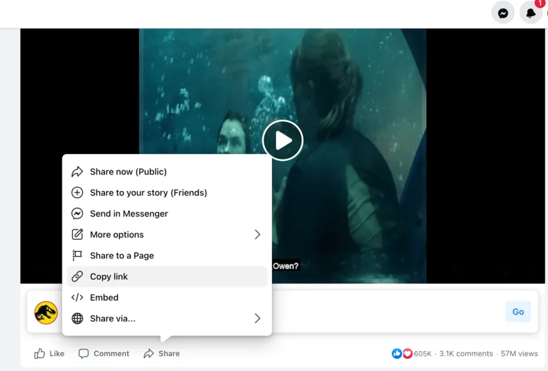 Cach tai video tu Facebook ve may tinh 14