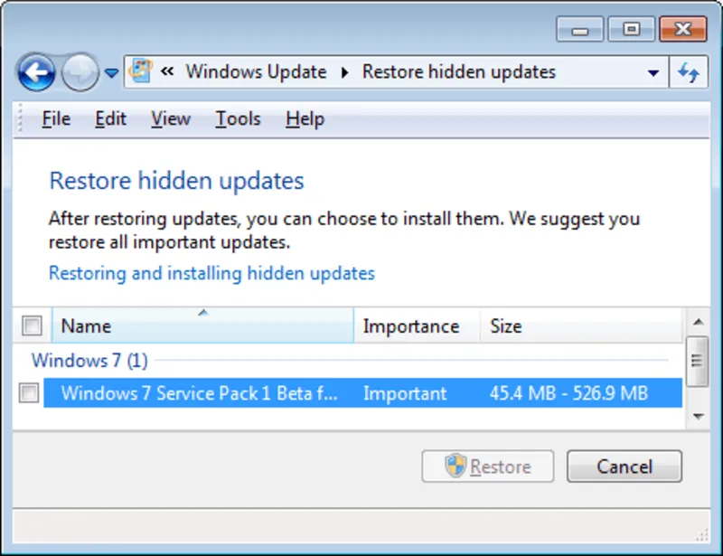 Windows Update Blocker 17