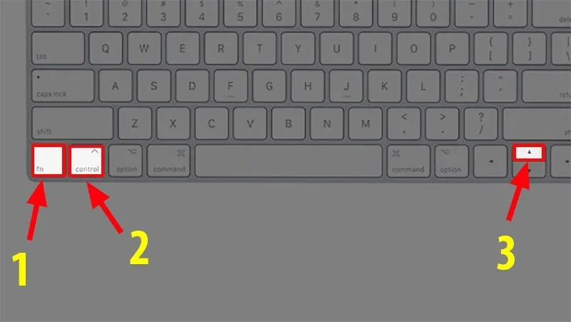 6 cách phím tắt chuyển sheet trong Excel hiệu quả 20 Phim tat chuyen sheet trong Excel 6