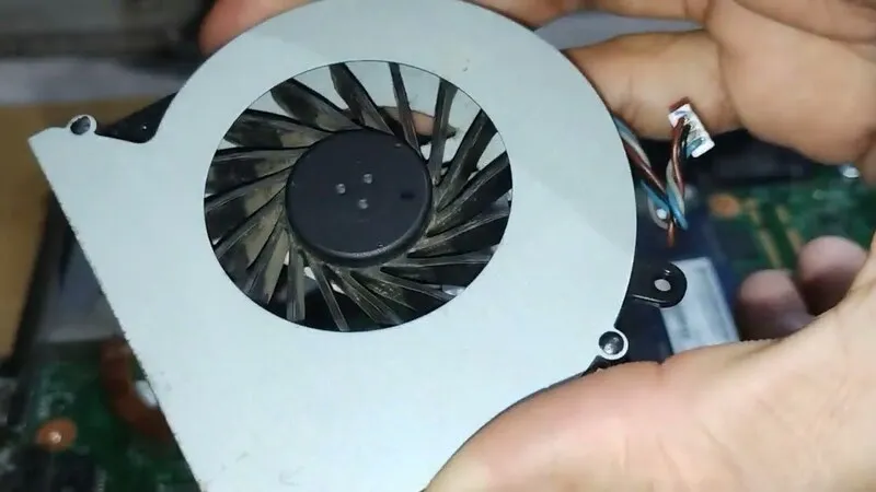 Thay quat tan nhiet laptop 6