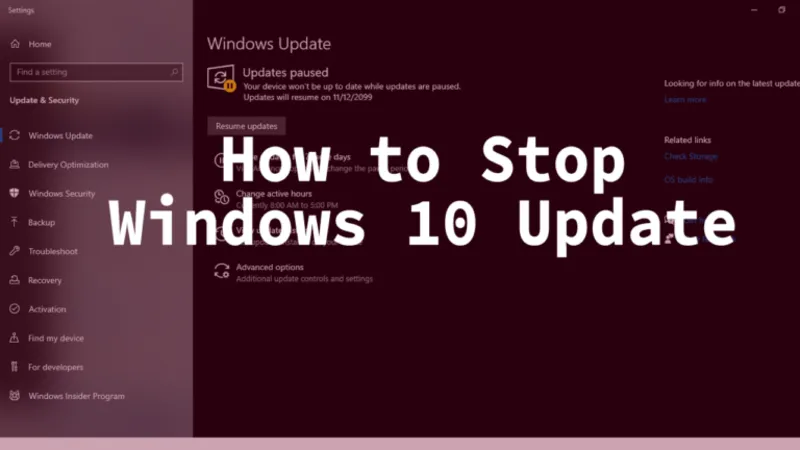 Tat update win 10 11