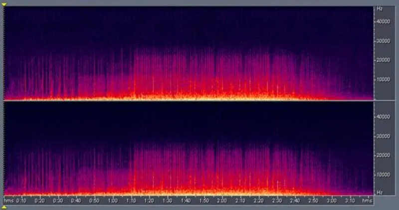 Top 5 phần mềm nghe nhạc lossless trên máy tính đáng cài đặt nhất 2026 2 Phan mem nghe nhac lossless tren may tinh 10