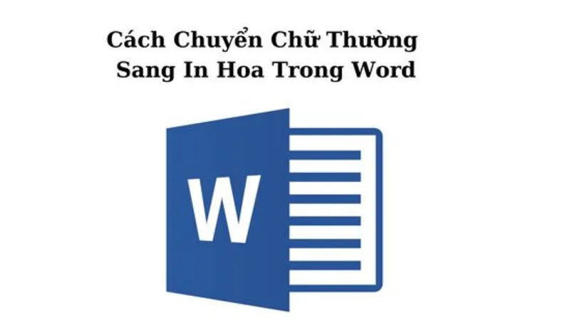 XEM NGAY! 4 cách chuyển chữ in sang thường trong word 19 Chuyen chu in sang thuong trong word 11