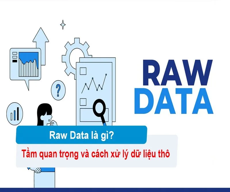 Raw Data là gì (21) Raw Data là gì (21)