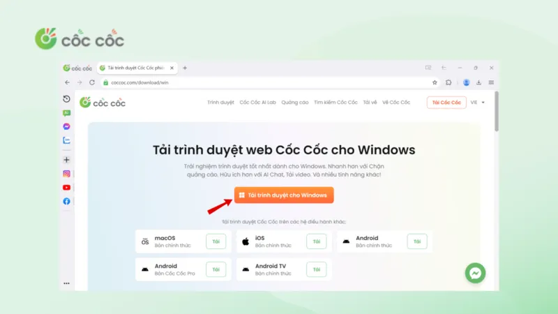 Tải Cốc Cốc về máy tính (39)