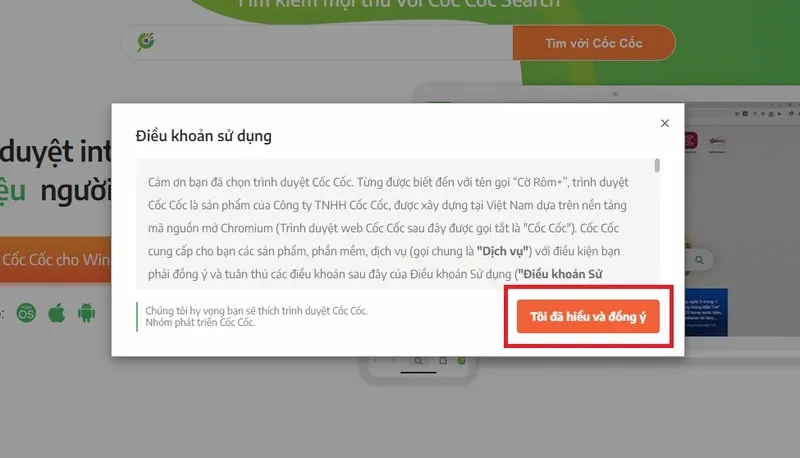 Tải Cốc Cốc về máy tính (4)