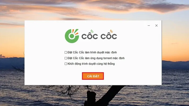 Tải Cốc Cốc về máy tính (6)